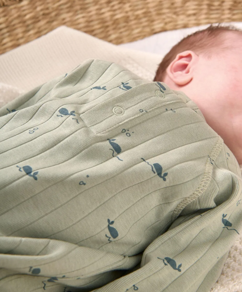 Whale Print All In One