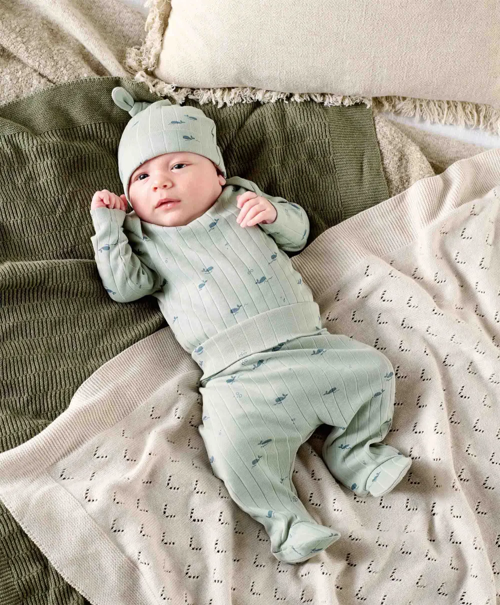 Whale Outfit Set (3 Piece) - Green