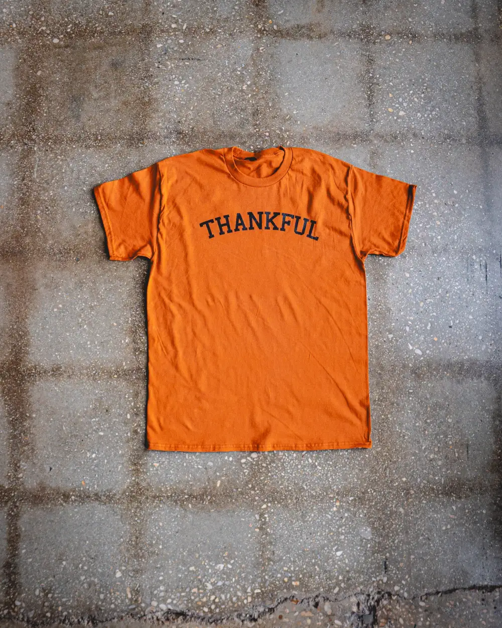 Thankful Adult T-Shirt