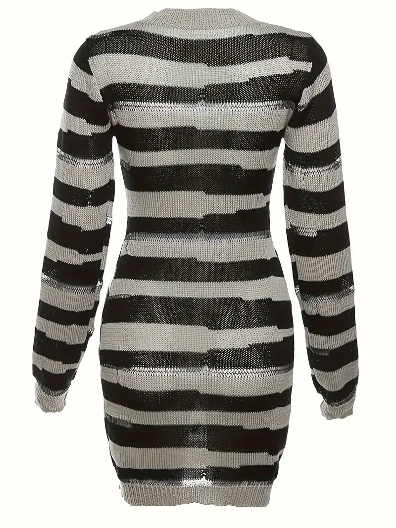 Color Block Long Sleeve Knit Dress, Casual Crew Neck Dress For Spring & Fall, Women's Clothing