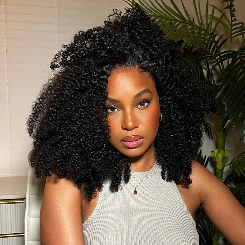 Sterly HD Lace Kinky Curly Human Hair Wigs For Women