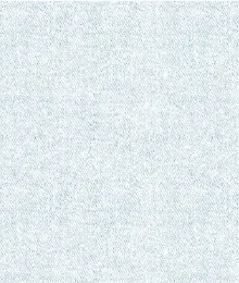 Audrey Light Denim Pleated Wide Leg Jeans-Bluewhite