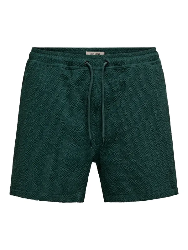Womens Textured Swim Shorts