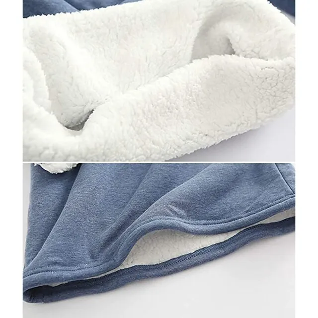 Women's Casual Dress Sweatshirt Dress Winter Dress Mini Dress Teddy Fleece Home Daily Going out Basic Casual Crew Neck Long Sleeve Regular Fit Wine Red Big red Black Color S M L XL XXL Size