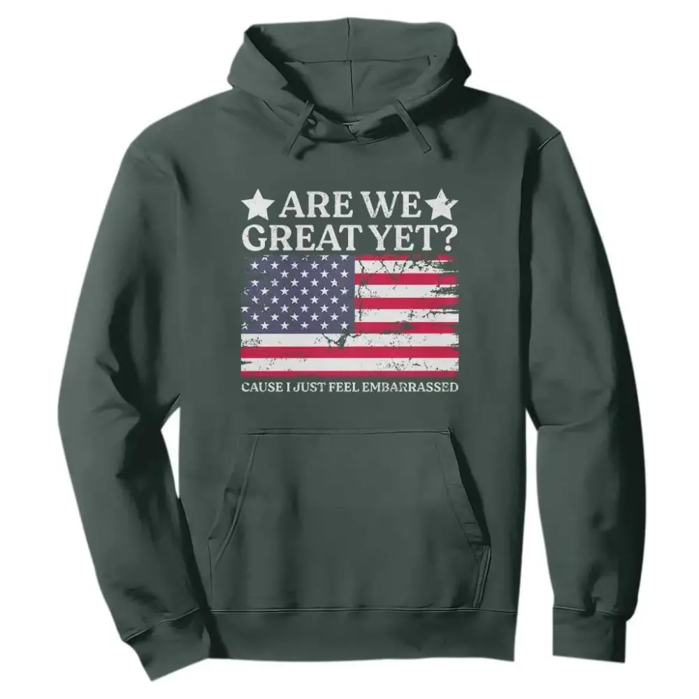 Are We Great Yet Hoodie Cause I Just Feel Embarrassed American Flag TS09