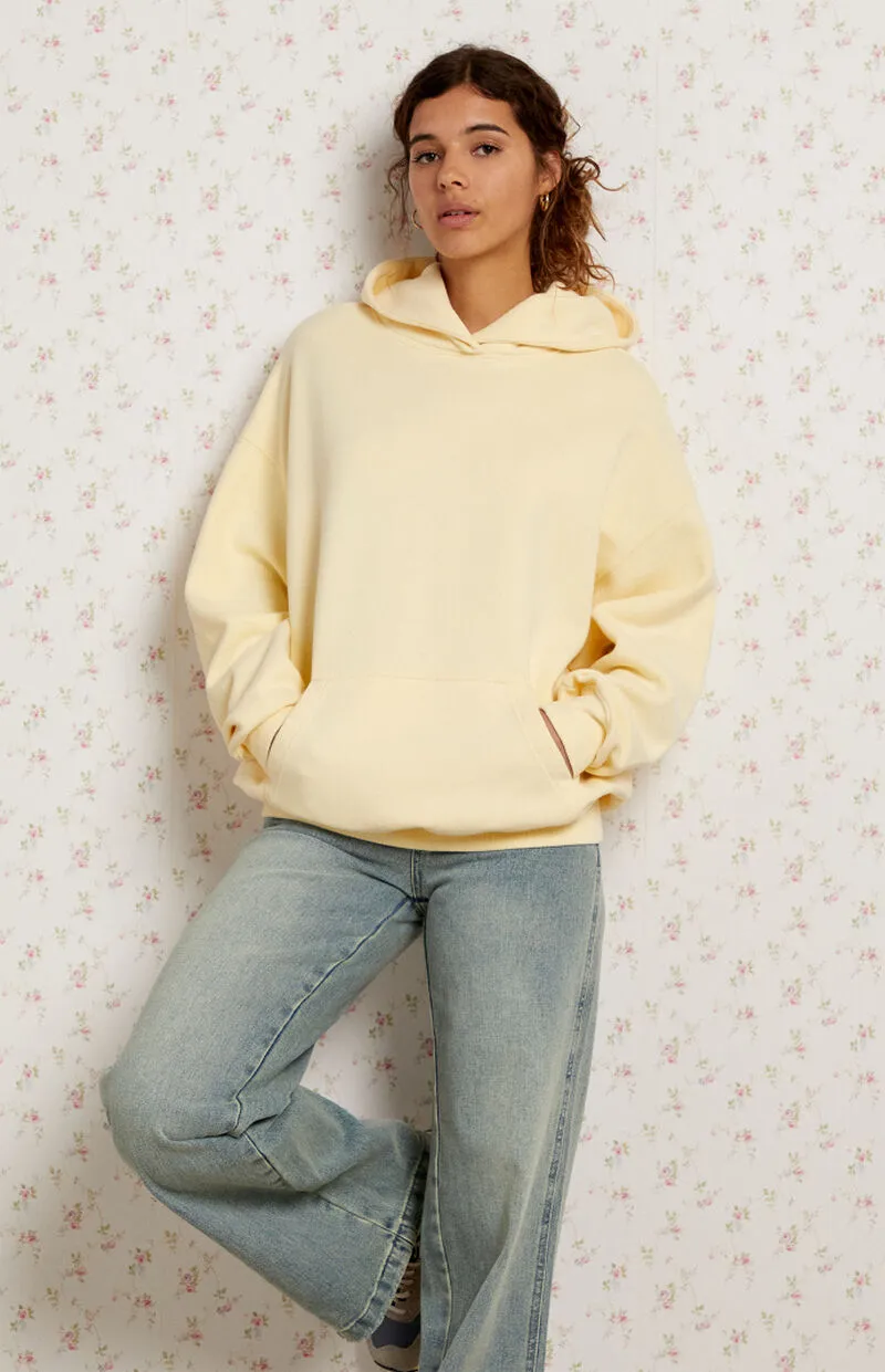 PacSun Core Washed Pullover Hoodie