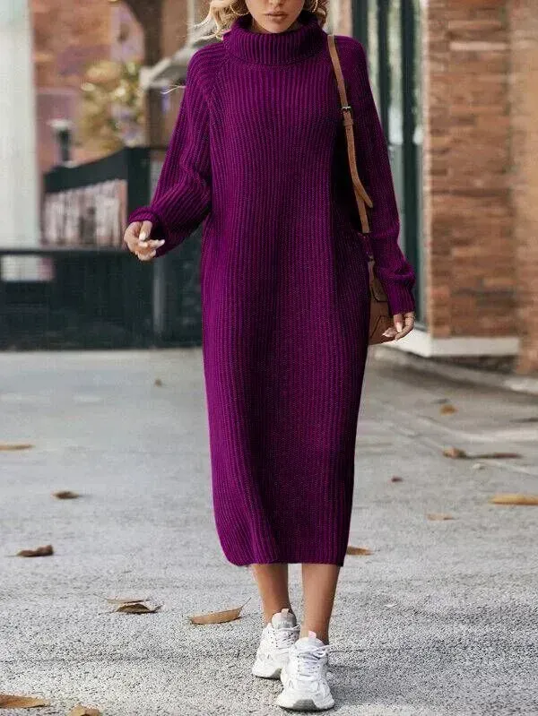 Turtleneck Raglan Sleeve Sweater Dress