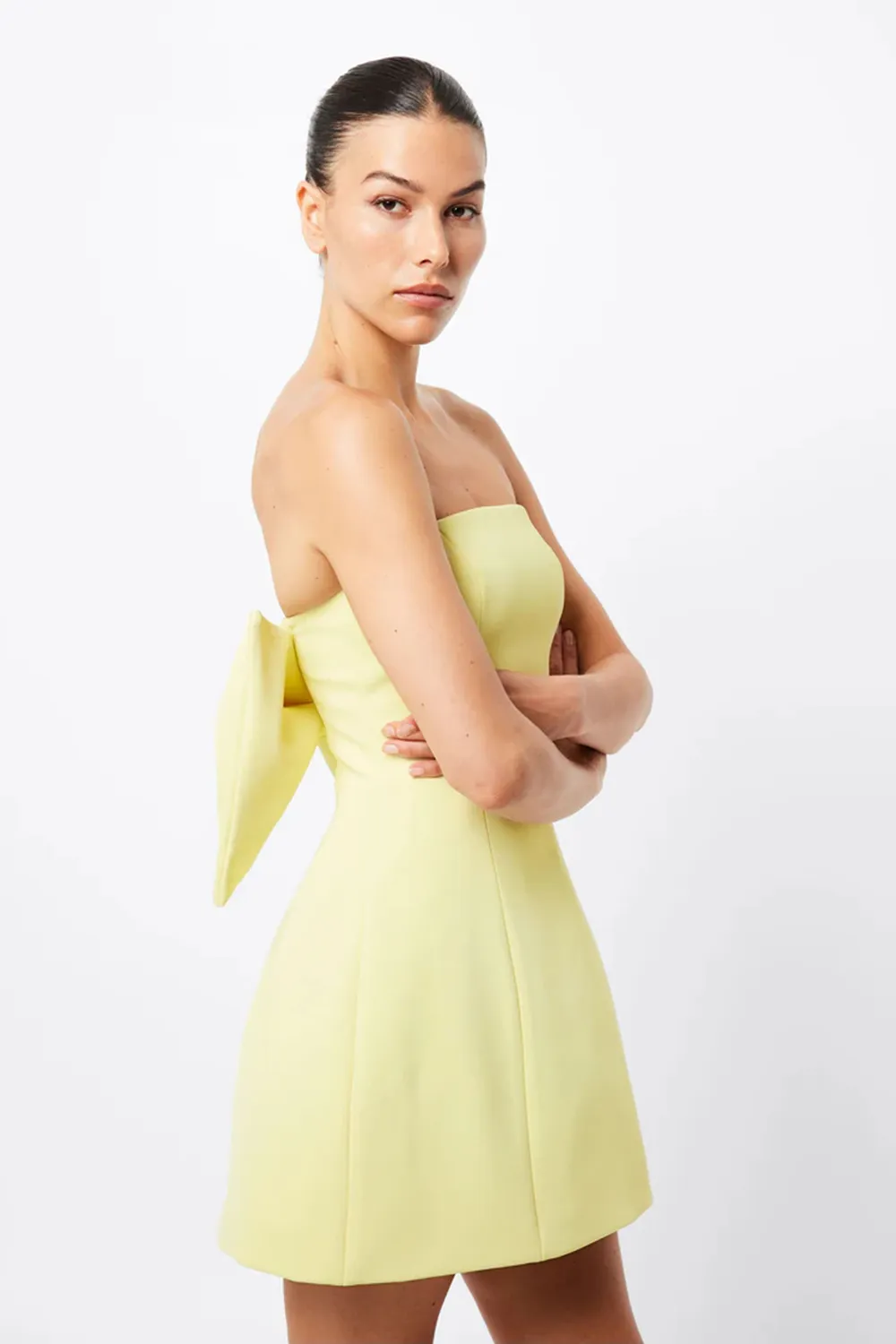 WISTFUL MINI DRESS