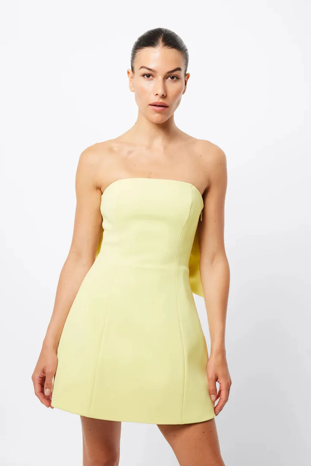 WISTFUL MINI DRESS