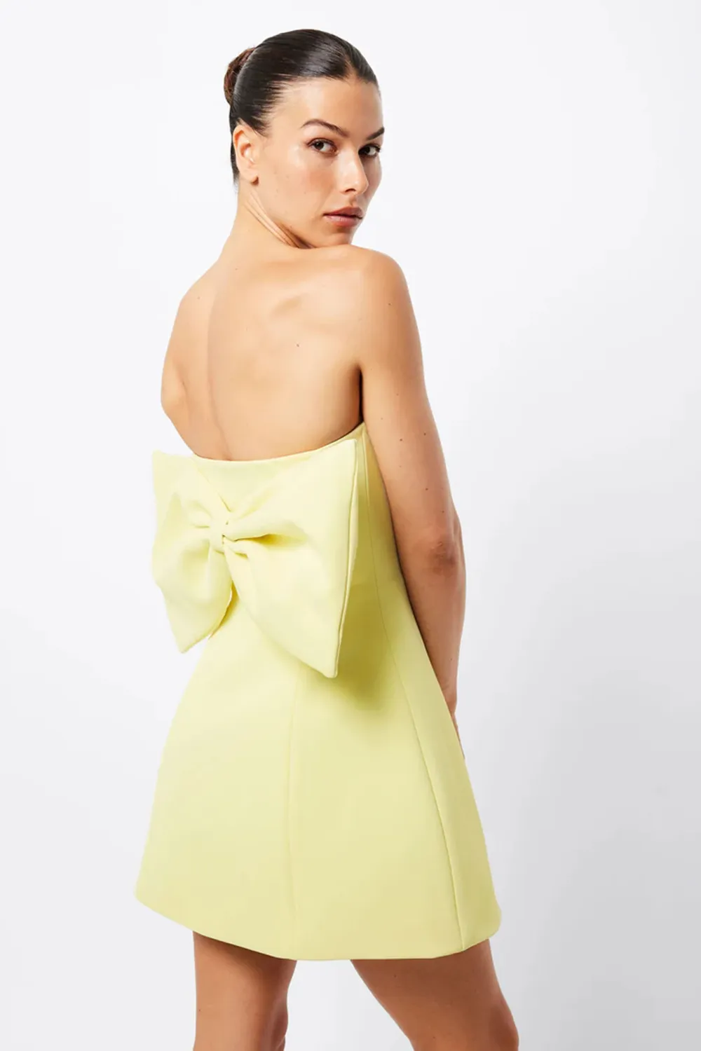WISTFUL MINI DRESS