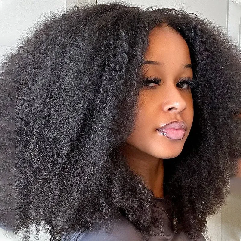 Afro Kinky Curly HD Lace Full Frontal Wig Undetactable HD Lace Human Hair Wig