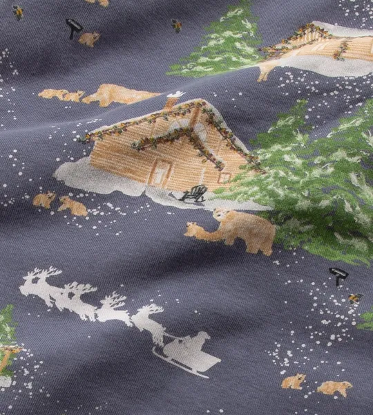 Present Delivery Organic Cotton Matching Family Pajamas