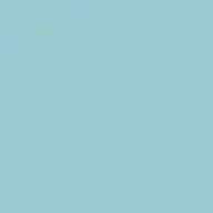 Blue Elixir Cap-Sleeve Crewneck Top-Blueelixir