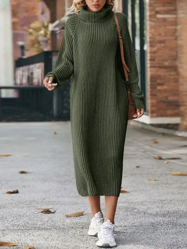 Turtleneck Raglan Sleeve Sweater Dress
