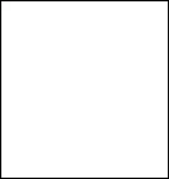 Sophia Curvy Fit Straight Leg Jeans-White