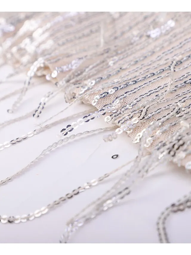 Women's Silver Sequin Dress Fringe Dress Party Dress Sparkly Dress Mini Dress Silver Sleeveless Spring V Neck Stylish Wedding Guest