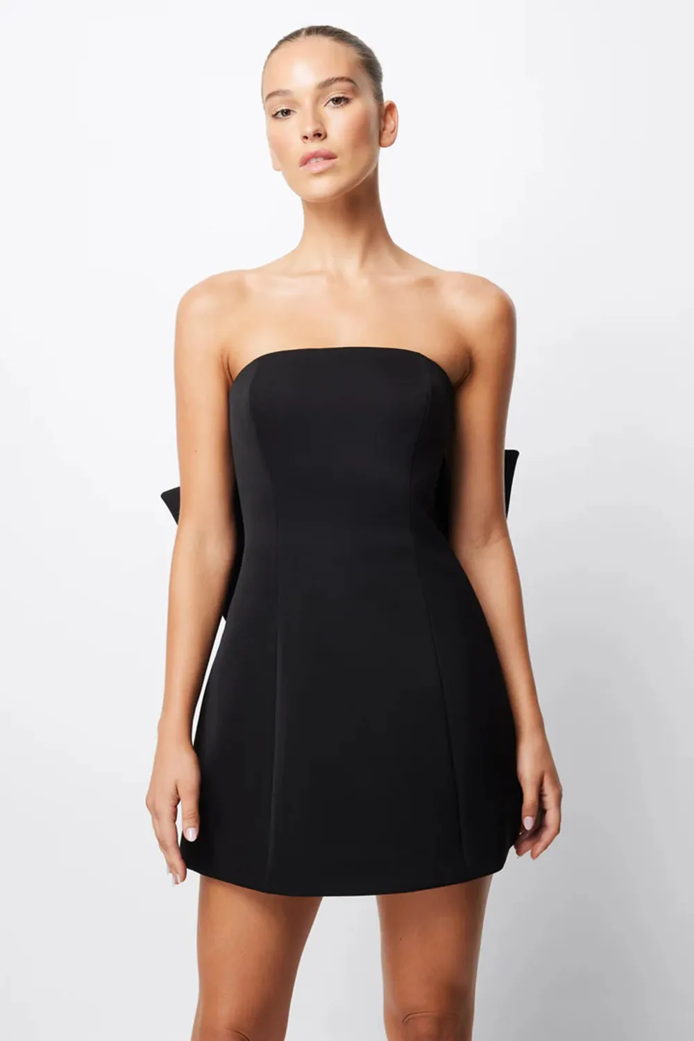 WISTFUL MINI DRESS