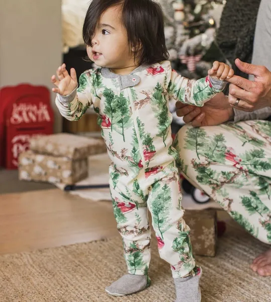 Present Delivery Organic Cotton Matching Family Pajamas