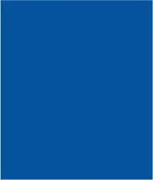 Railroad Stripe Button-Front Jacket With Box Pleat Back-Riviera