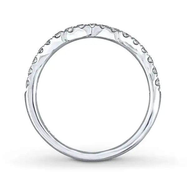 THE LEO Diamond Wedding Band 3/8 ct tw Round-cut 14K White Gold