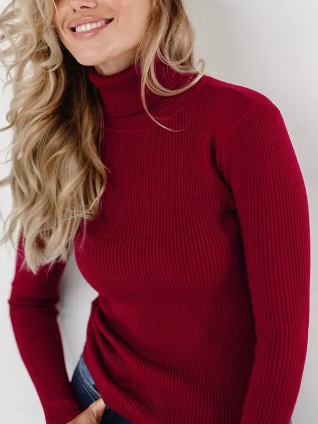 Women's Sweater Casual Soft Pure Color Ribbed Turtleneck Knitted Long Sleeve Regular Tops Knit Outdoor Daily Weekend Black White Fall Winter