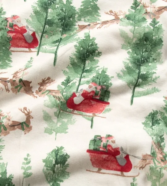 Present Delivery Organic Cotton Matching Family Pajamas