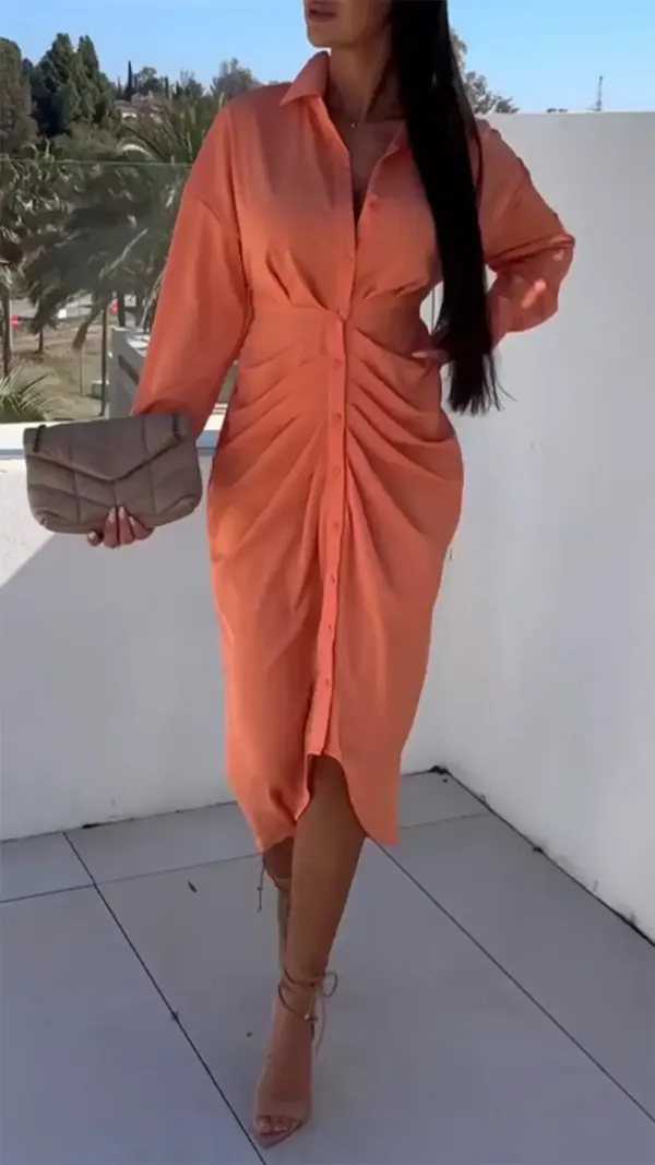 Women's Lapel Long Sleeve Elegant Dress