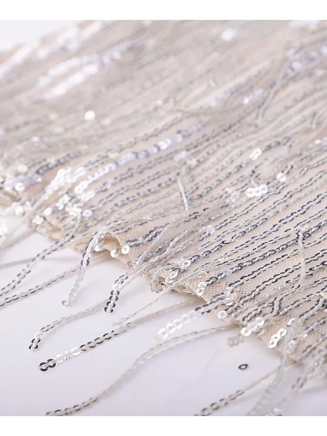 Women's Silver Sequin Dress Fringe Dress Party Dress Sparkly Dress Mini Dress Silver Sleeveless Spring V Neck Stylish Wedding Guest