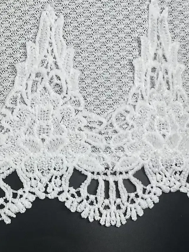 Women's Tank Top White Blue Plain Lace Sleeveless Casual Basic V Neck Regular S