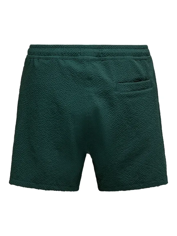 Womens Textured Swim Shorts
