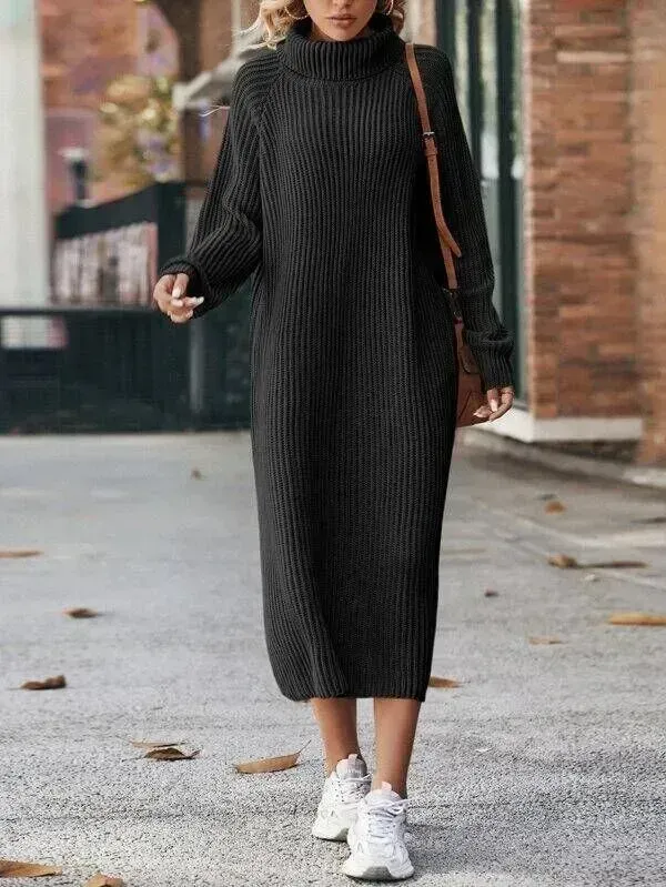 Turtleneck Raglan Sleeve Sweater Dress