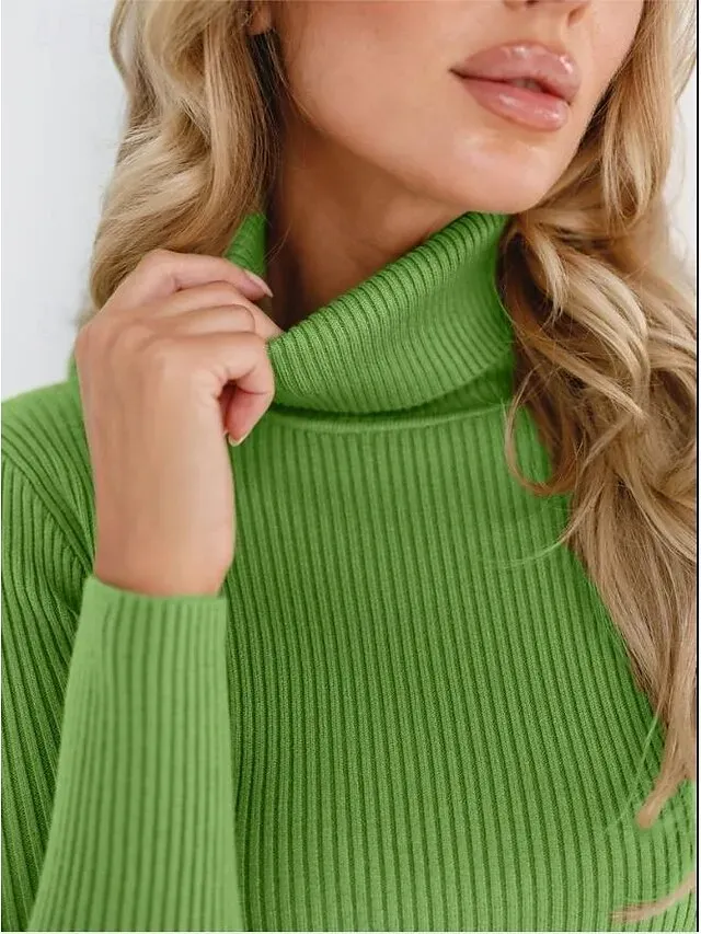 Women's Sweater Casual Soft Pure Color Ribbed Turtleneck Knitted Long Sleeve Regular Tops Knit Outdoor Daily Weekend Black White Fall Winter