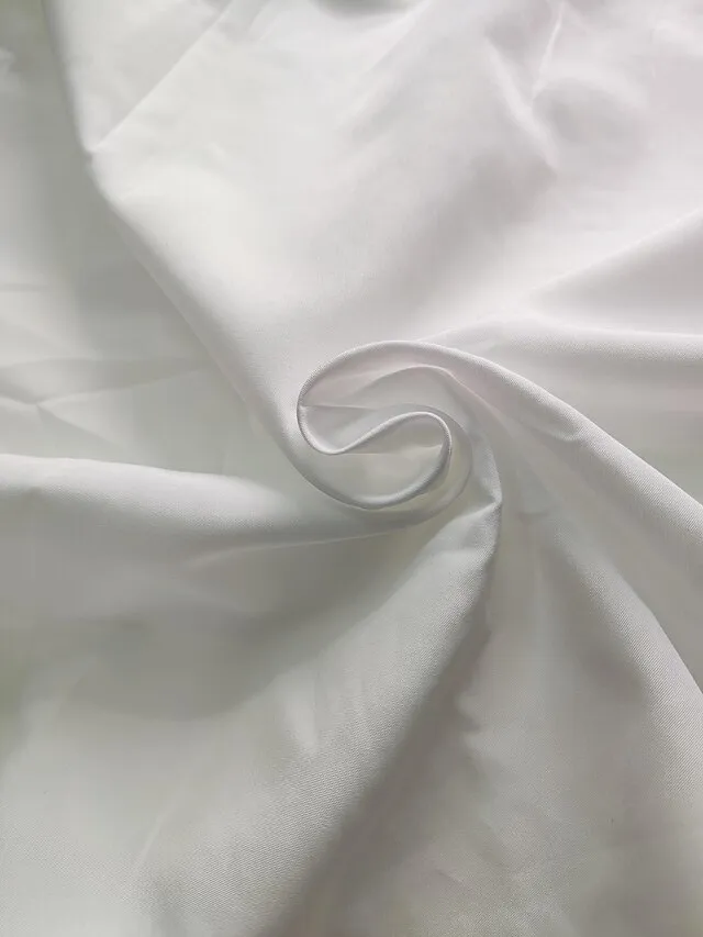 Women's Shirt Blouse Almond Black White Plain Long Sleeve Casual Basic V Neck S