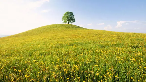 028Short Sleeve Daily Going out Weekend Streetwear Crewneck Regular Fit Summer Spring