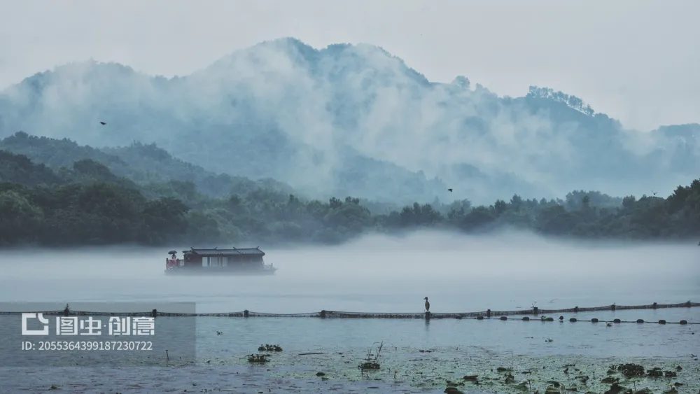 test-004Short Sleeve Daily Going out Weekend Streetwear Crewneck Regular Fit Summer Spring