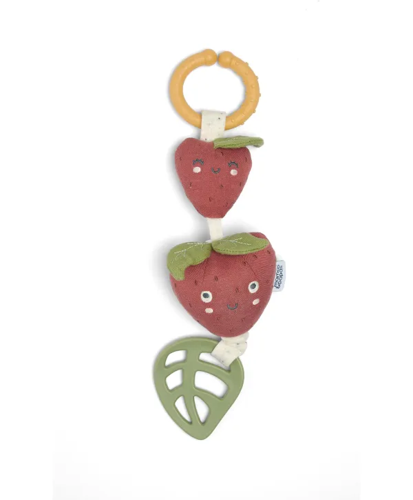 Grateful Garden Multi Linkie Strawberry Activity Toy