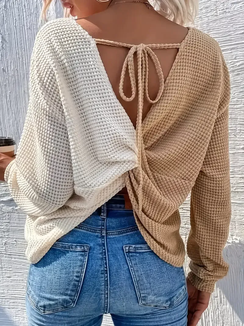 Color Block Twist Back Top, Versatile V-neck Top For Spring & Fall, Women's Clothing