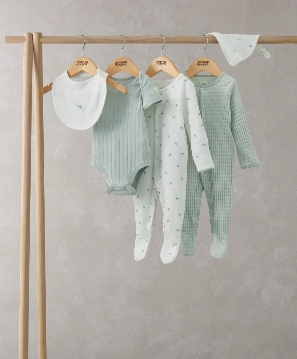 Turtle Set - 5 Piece Set