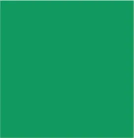 Printed Reversible Camisole-Greensea