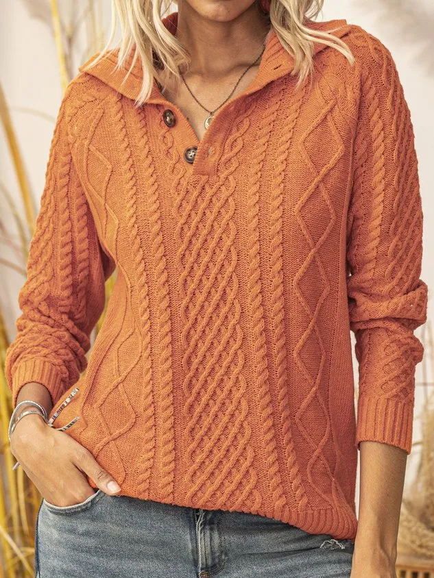 Red Brown Casual Knitted Sweater