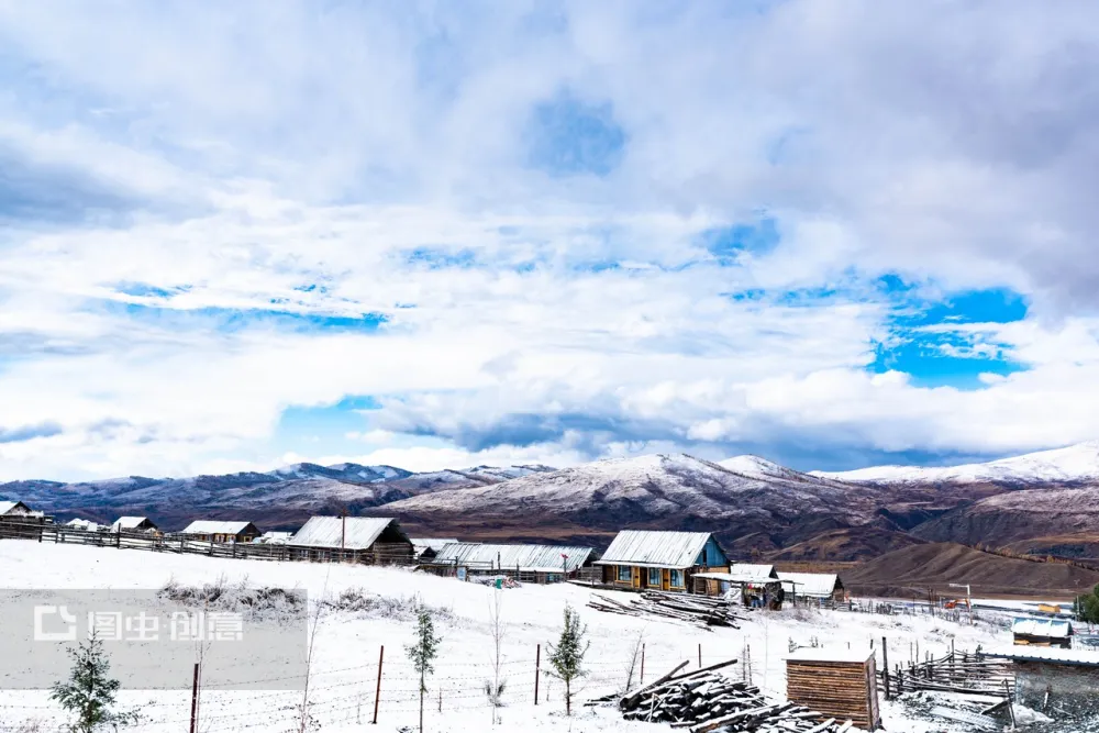 test-005Short Sleeve Daily Going out Weekend Streetwear Crewneck Regular Fit Summer Spring