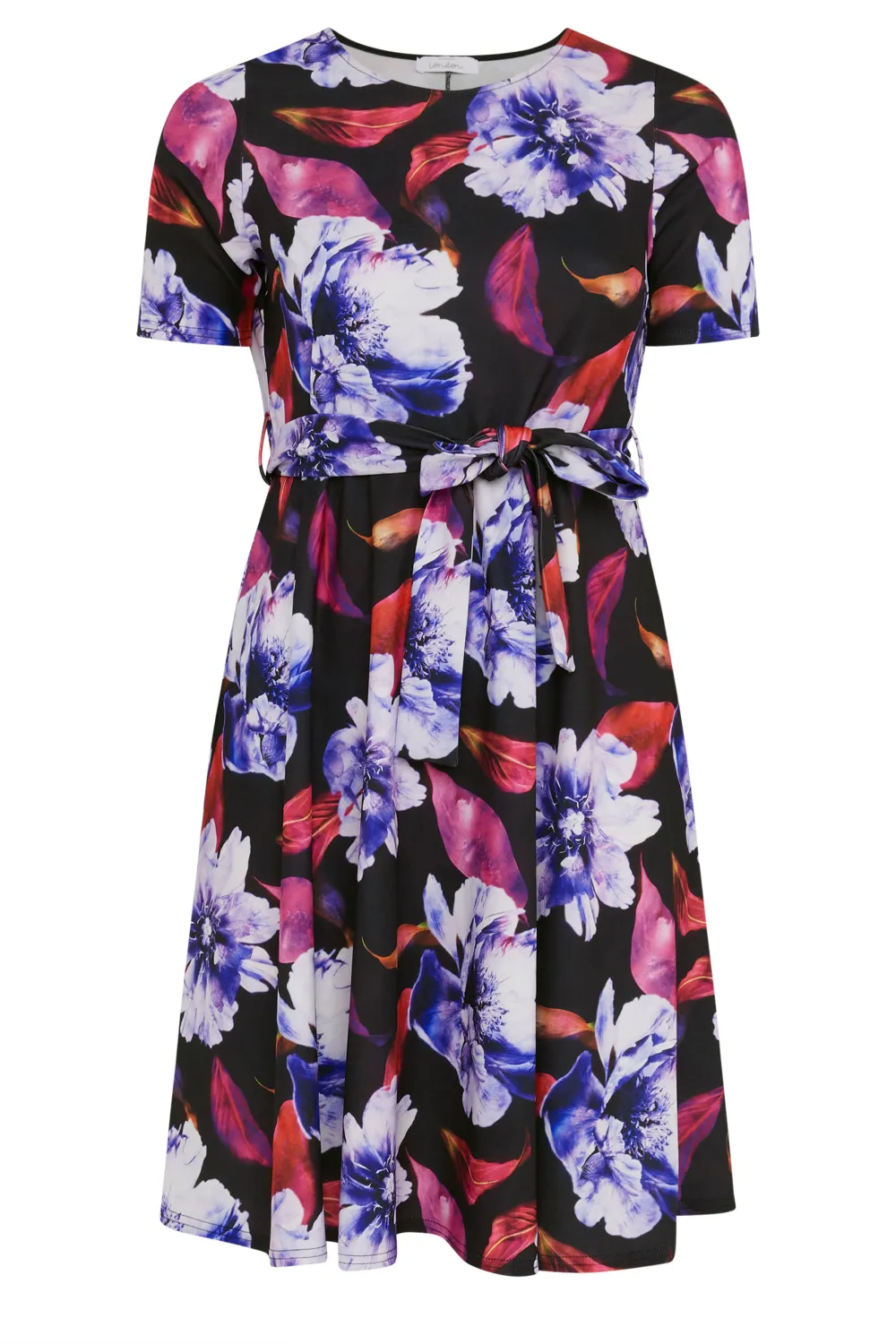 YOURS LONDON Curve Black Floral Print Skater Dress