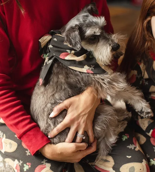 Present Delivery Organic Cotton Matching Family Pajamas