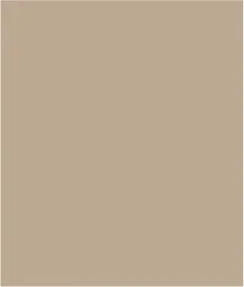 Printed Shirred-Shoulder Cap Sleeve Top-Safari