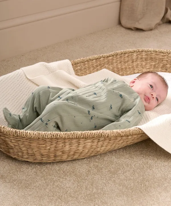 Whale Print All In One