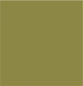 Airflow Raglan Sleeve Shirt-Aloeleaf