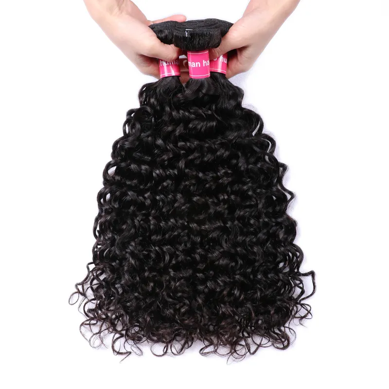 Sterly Hair Water Wave 3 Bundles Virgin Human Hair With 4×4 Lace Closure