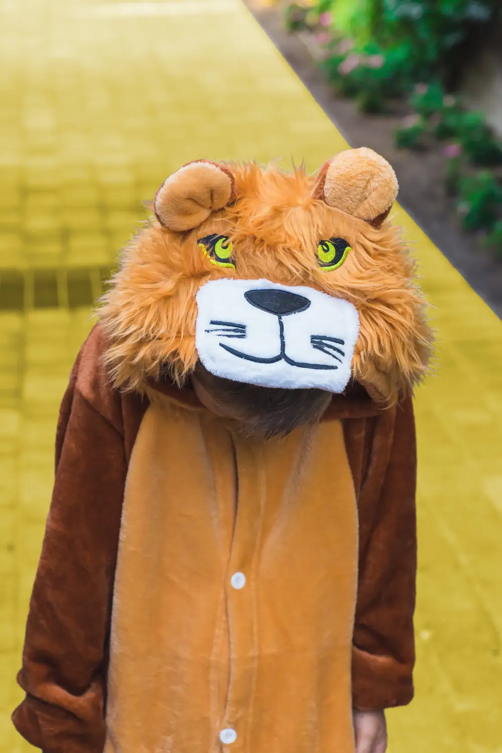 Mom & Me - Lion Costume