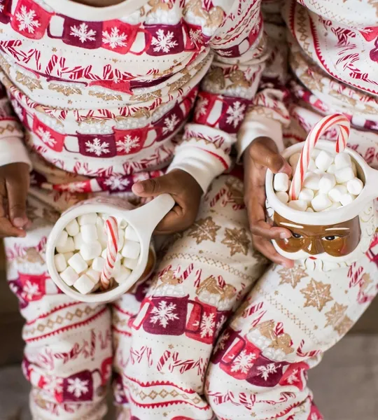 Present Delivery Organic Cotton Matching Family Pajamas