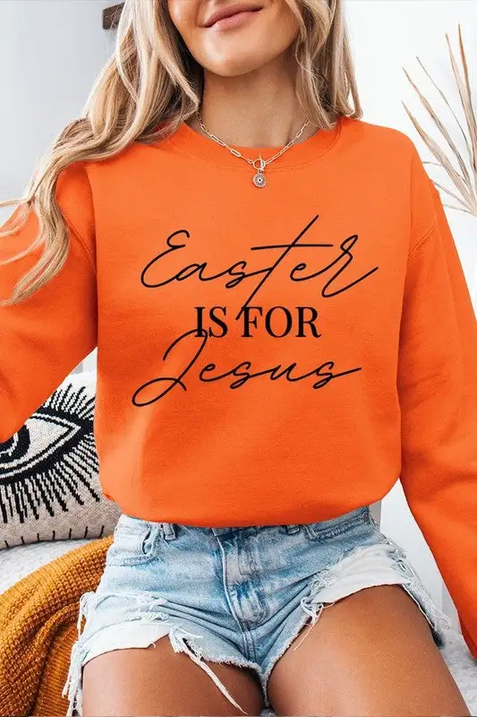 Clean Line Soft Graphic Pullover Sweatshirt